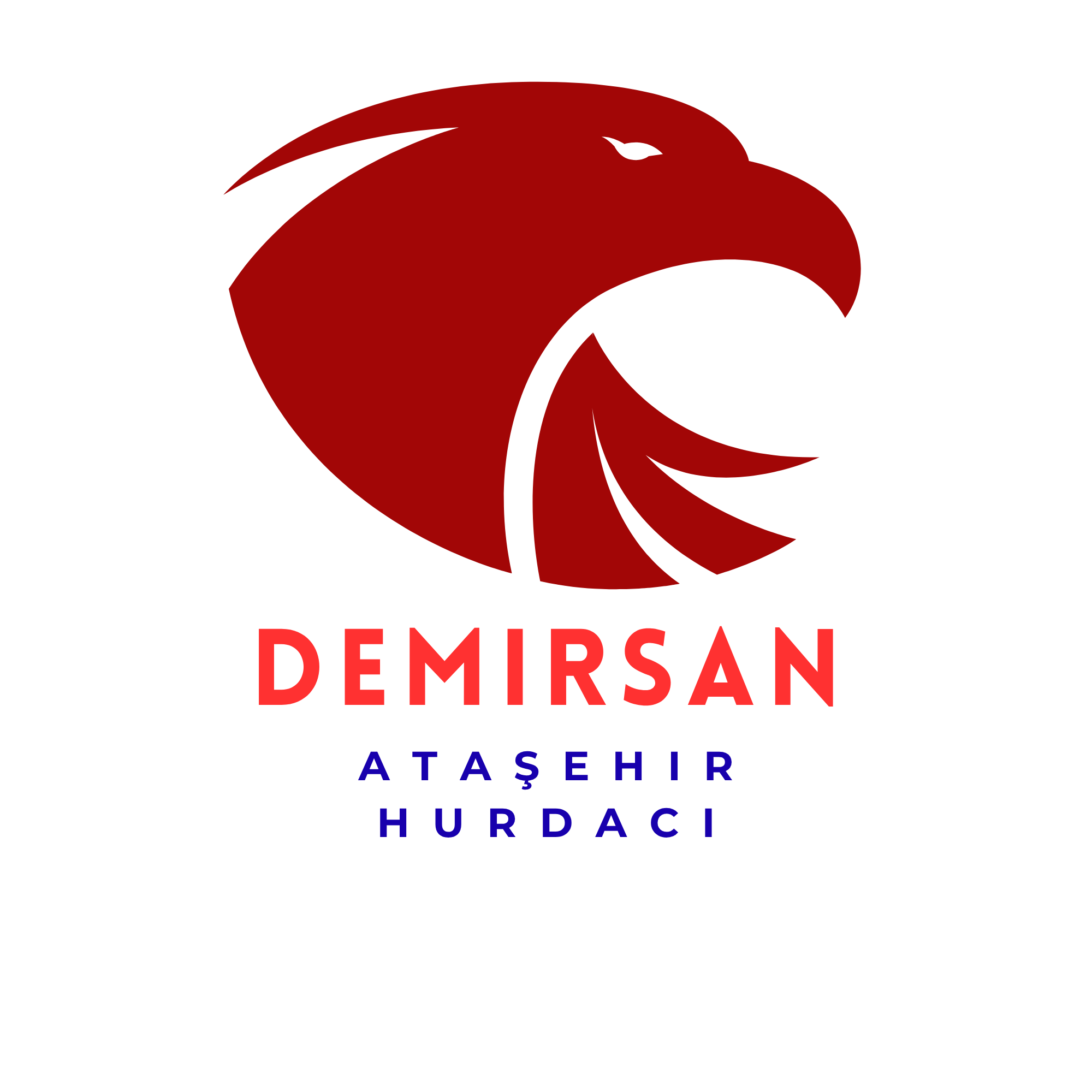 Demirsan Hurda Logo
